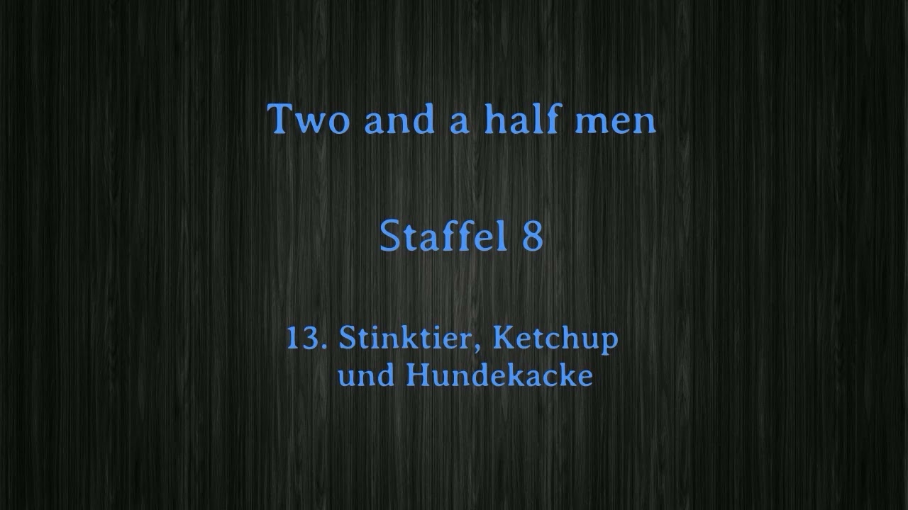 Two and a half men Staffel 8 F 13 -16 ,tonspur , einschlafen