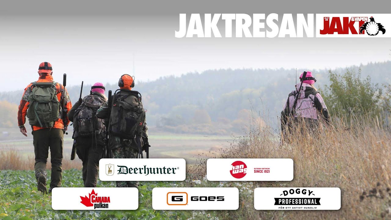 Jaktresan: Dovjakt med taxar