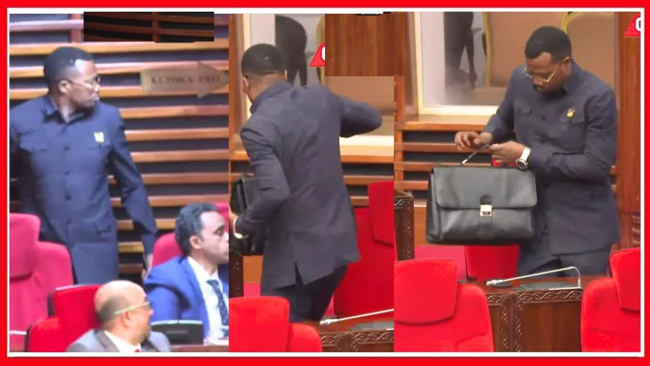 MPINA ATOLEWA BUNGENI - ASAHAU MLANGO wa KUTOKEA - APEWA ADHABU KALI ya KUTOONEKANA BUNGENI VIKAO 15