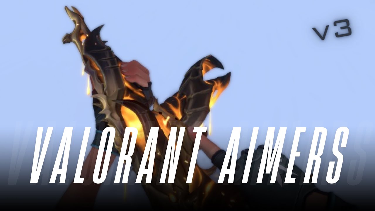Valorant Aimers #3 | (4K)