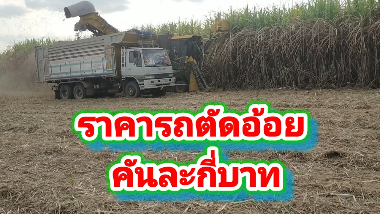 รถตัดอ้อย คันละกี่บาท EP 43/69