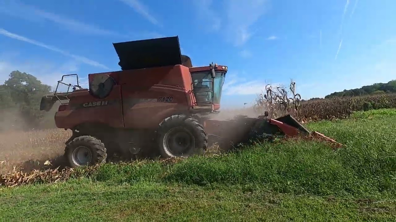 Bladen County Corn Harvesting