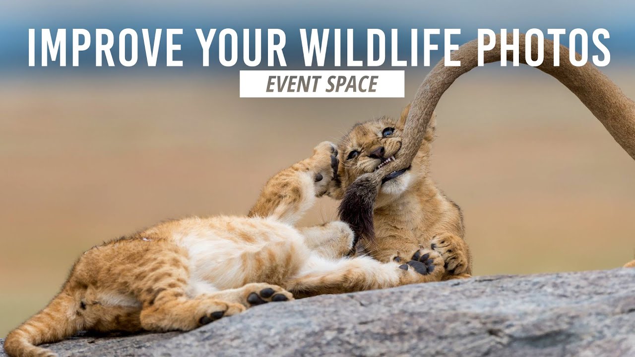 Take Your Wildlife Photography to the Next Level | B&H Event Space
