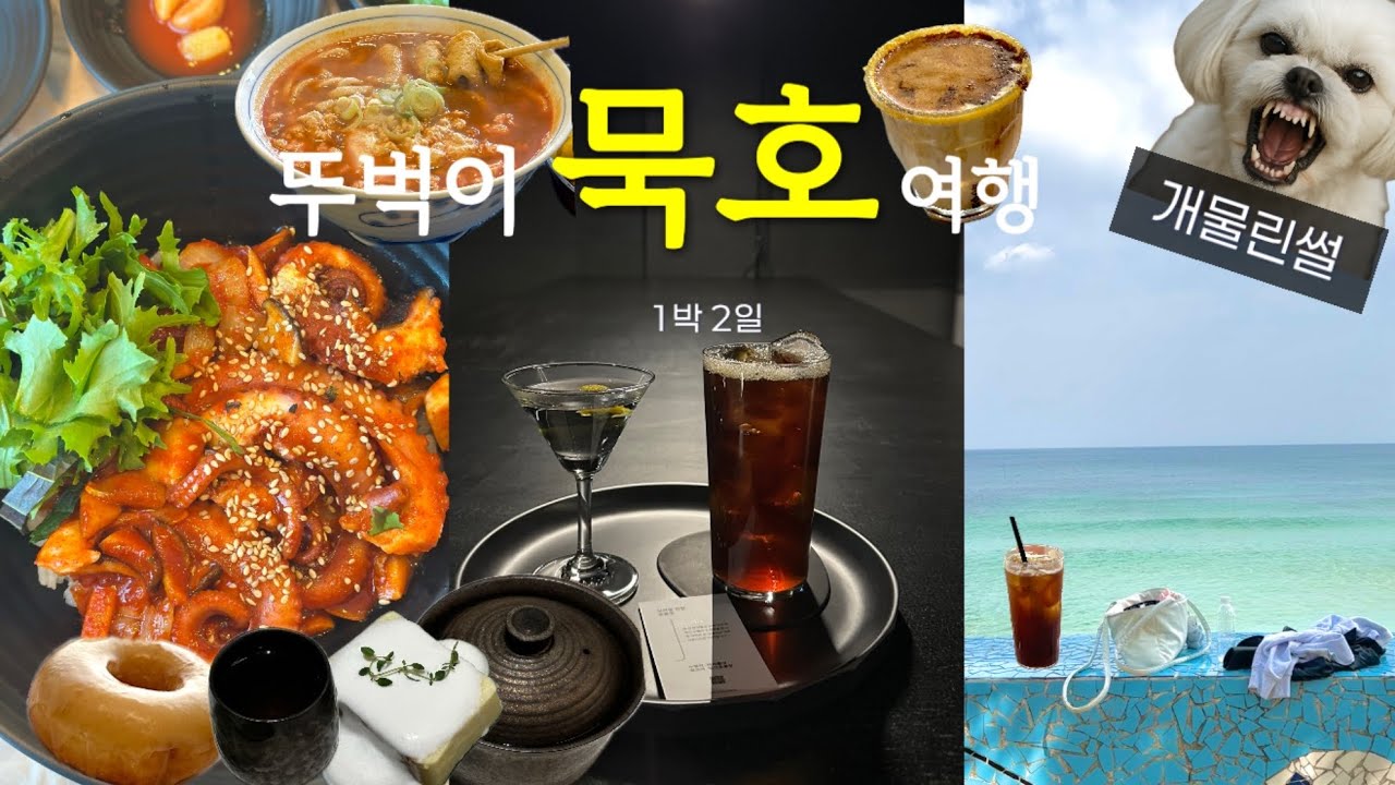 나홀로 묵호여행vlog🚅 요즘 핫한 묵호 핫플 총정리📍하루 3만보 동해투어 🏖️문어덮밥 순두부우동 1인 커피샵