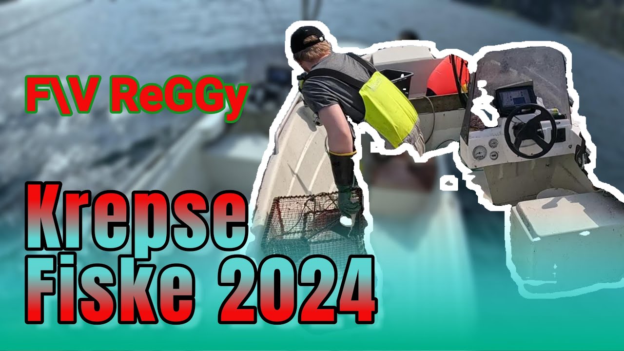 Krepse fiske 2024