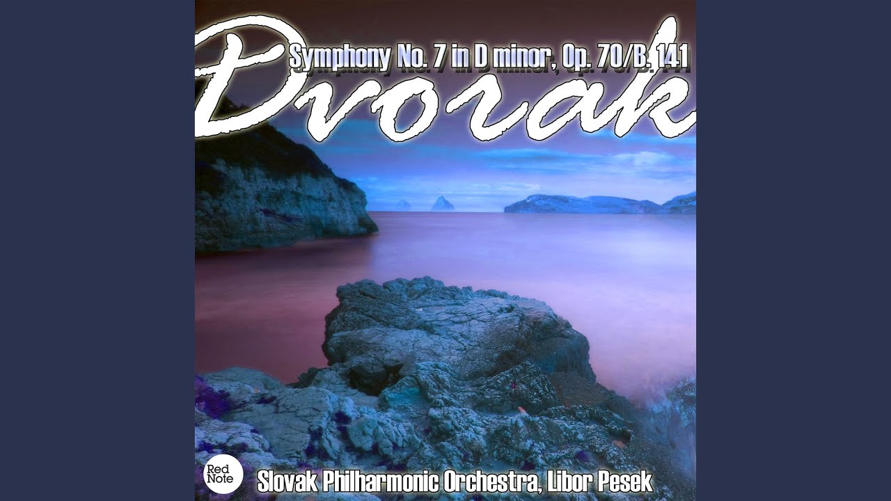 Symphony No.7 in D Minor, Op.70/ B. 141: IV. Finale: Allegro