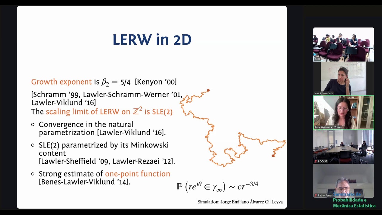SPMES: Three-dimensional loop-erased random walks - Saraí Hernández-Torres, UNAM