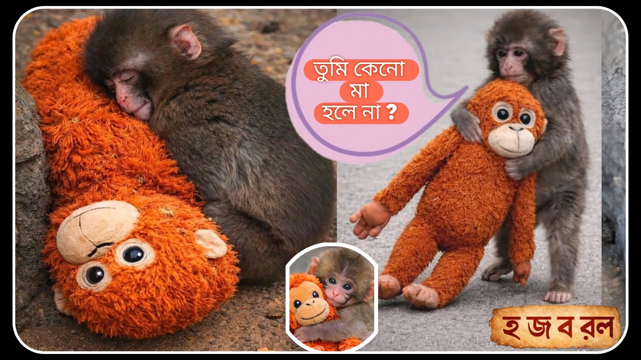 তুমি কেন মা হলে না… | Viral Baby Monkey Punch Emotional Story