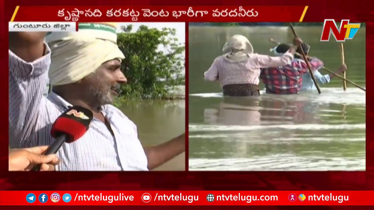 వరదలతో పశువుల పెంపకందారులు అవస్థలు ! Guntur People Facing Trouble With Flood Water | NTV