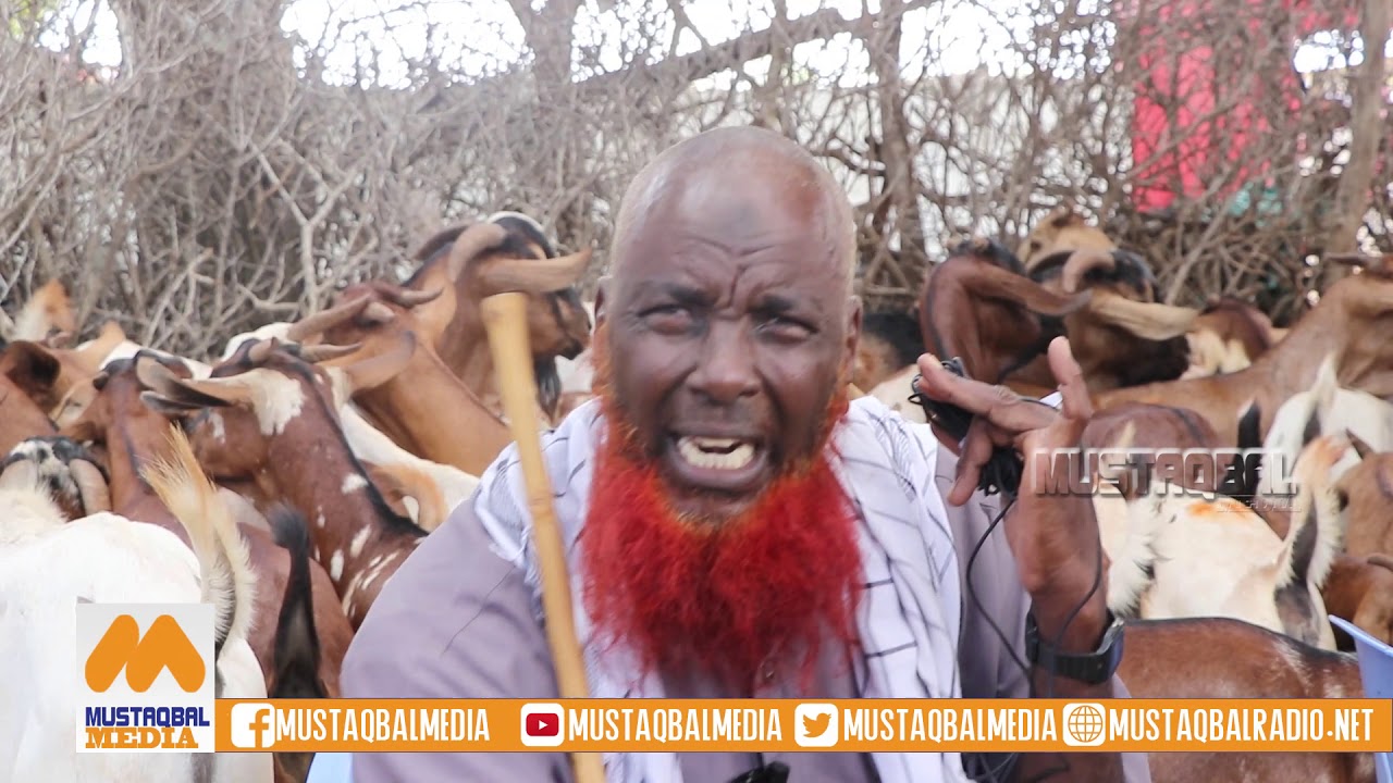 MAAMULKA DEGMADA DHARKENLEY OO LAGU EEDEEYAY BUR BURINTA SUUQ XOOLO