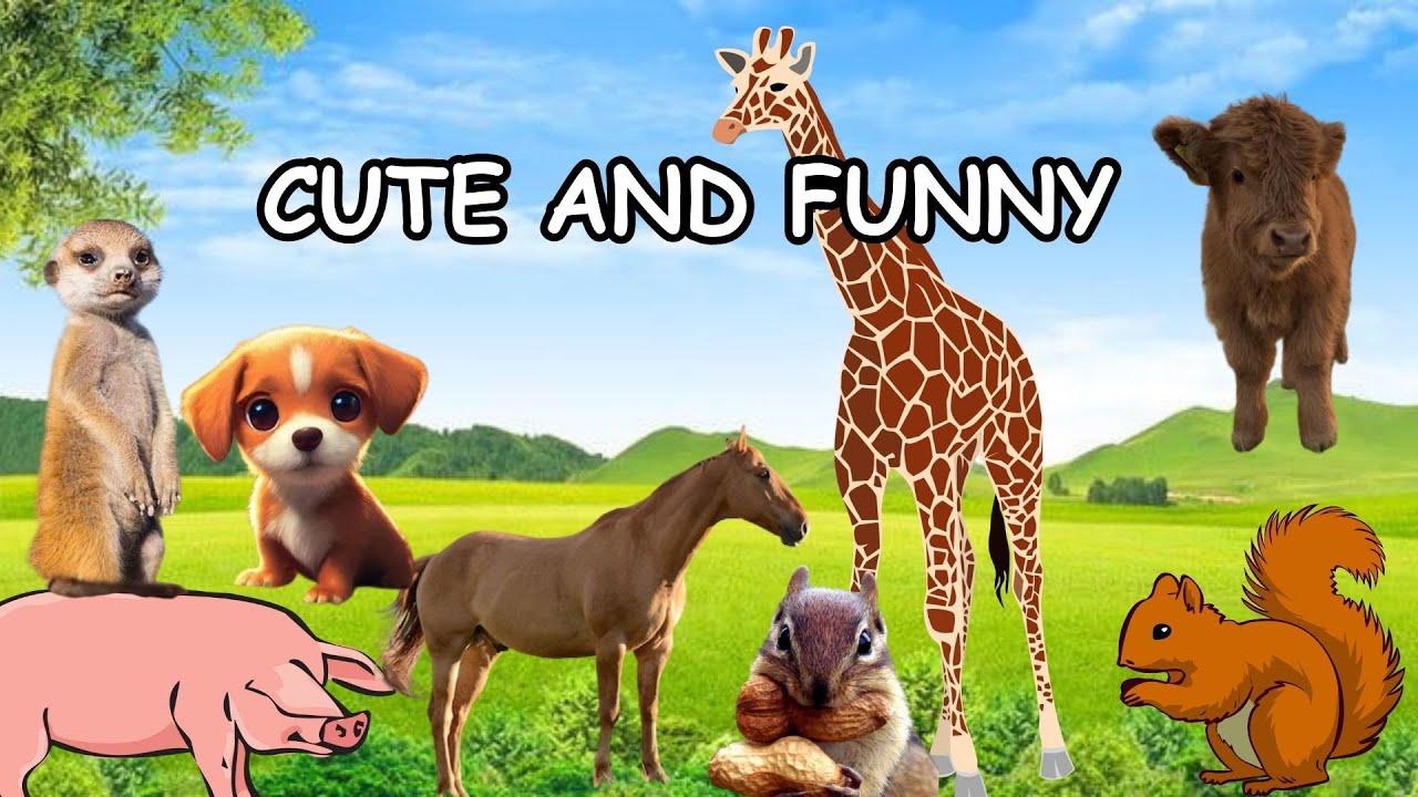 Cute Animals Video | Cute Little Animals | Funny Animal Sounds