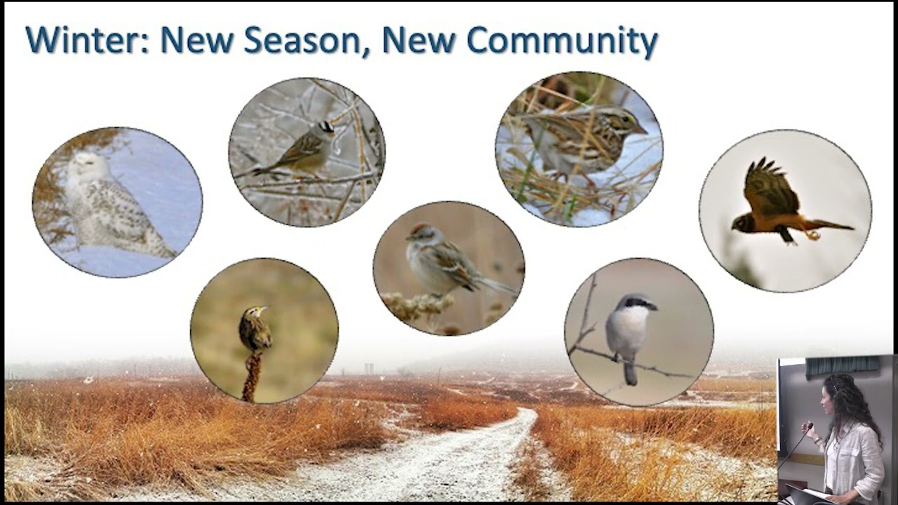 Grassland & Shrubland Bird Conservation on Working Lands