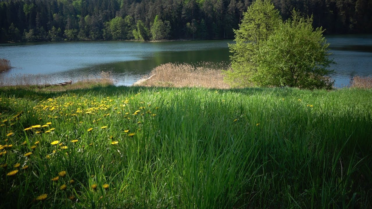 PIESZA WYCIECZKA DOOKOŁA JEZIORA WIGRY CZĘŚĆ I