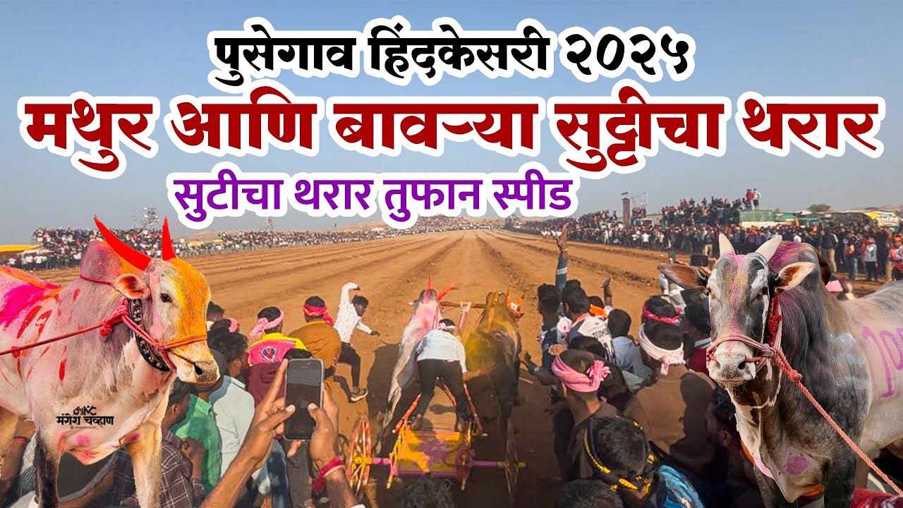 मथुर आणि बावऱ्या पुसेगाव हिंदकेसरी मैदानाचे ३ नंबरचे मानकरी