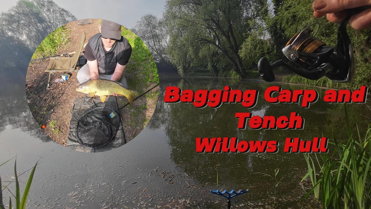 Bagging up on Carp and Tench! Willows pond Hull.
