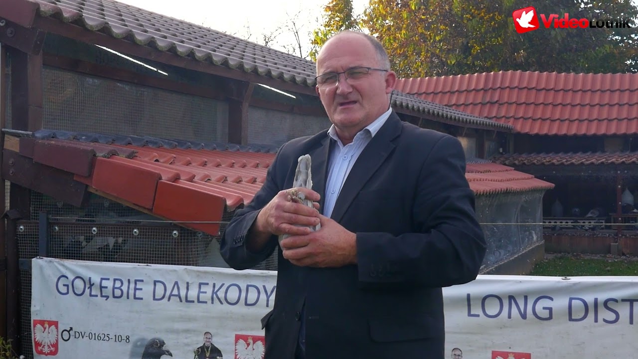 Robert Henkel  - gołębie Janssen z hodowli Erwin Dietrich i zaproszenie na Dzień Otwarty