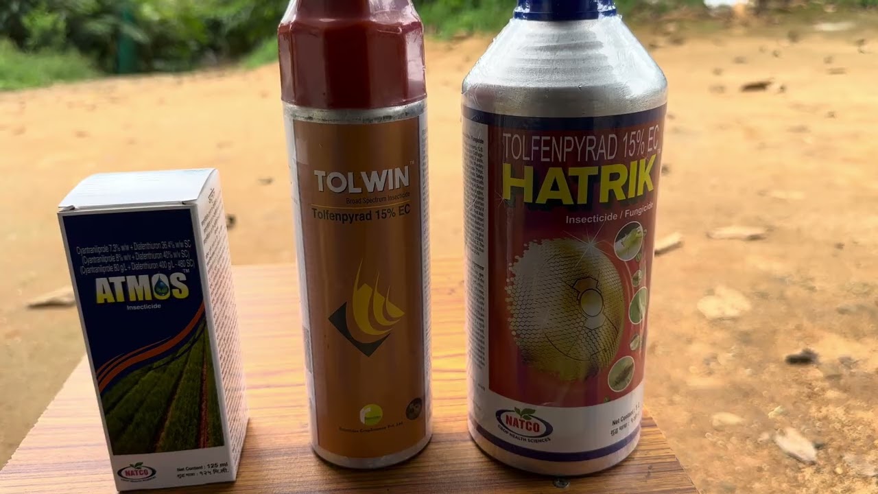 Two effective medicines for cardamom –insect & fungal control