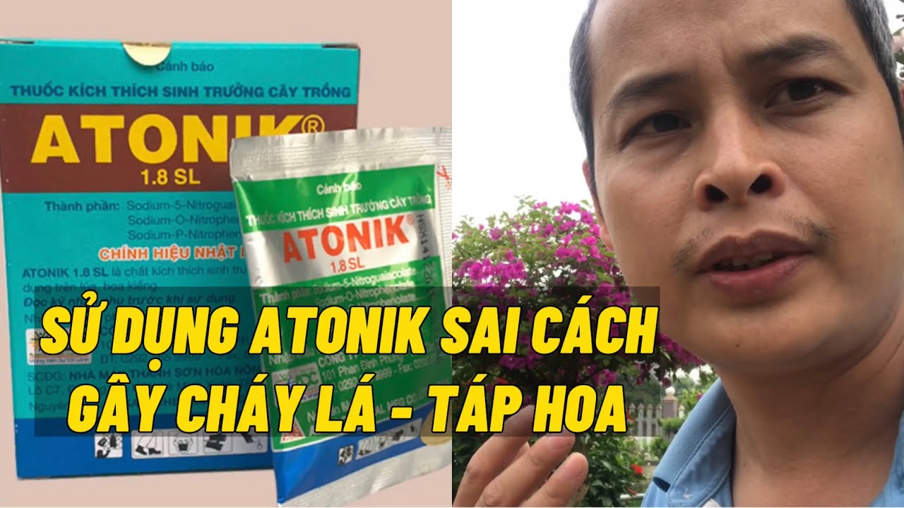 Sử dụng Atonik không đúng cách sẽ gây cháy hoa và táp lá