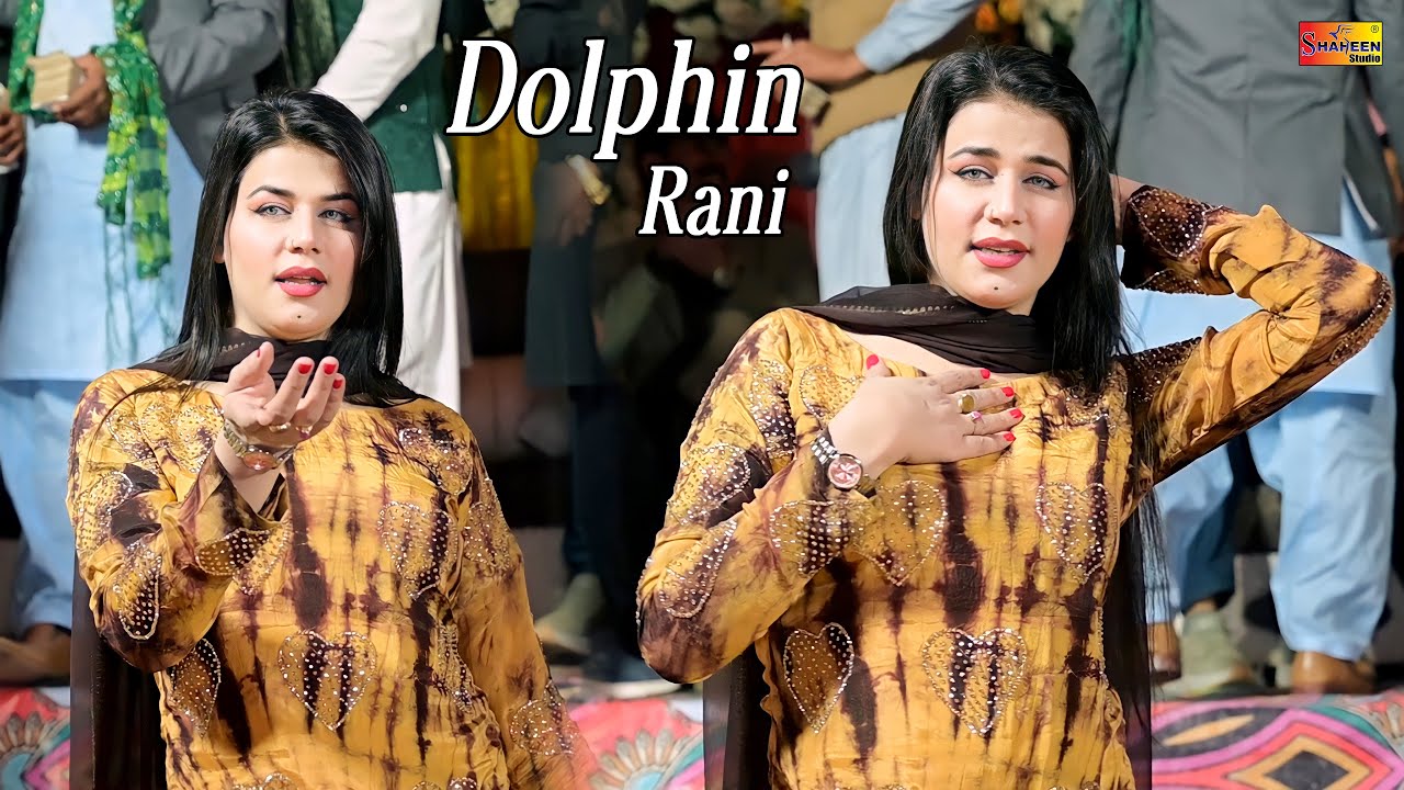 Tere Jaye Sohny Allah Nit Nai Branda, Dolphin Rani Dance Performance Shaheen Studio 2026