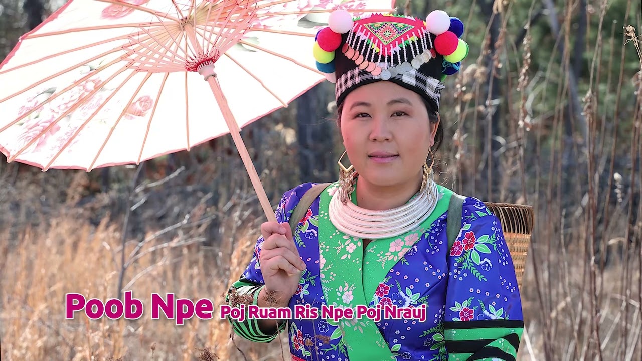 Poob Npe Poj Ntsuam Ris Npe Poj Nrauj. 1/4/2024