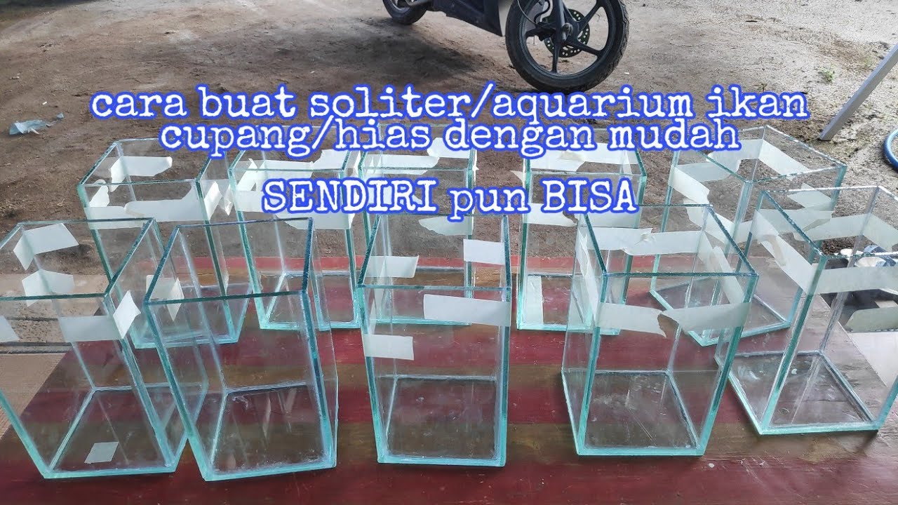 cara membuat soliter / aquarium ikan cupang / hias dengan mudah