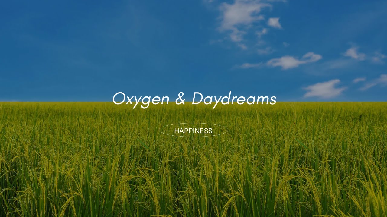 Happy & Uplifting Playlist: Motivationl Tracks to Inspire Your Day