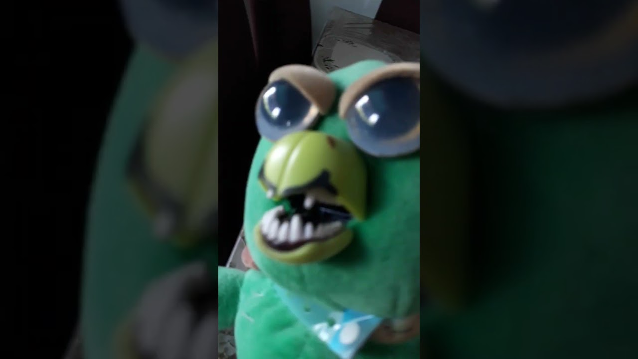 burrinho e seus amigos @arturnobrecamarafilho8459