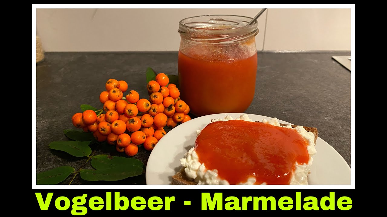 Vogelbeeren und selbstgemachtes Apfelpektin | herb-säuerliche Marmelade