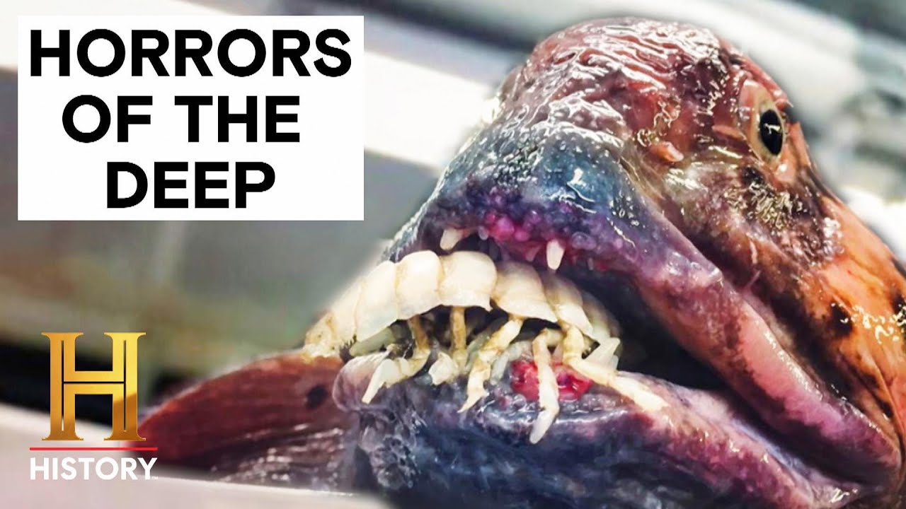 The Proof Is Out There: Top 7 TERRIFYING Deep Sea Horrors | History