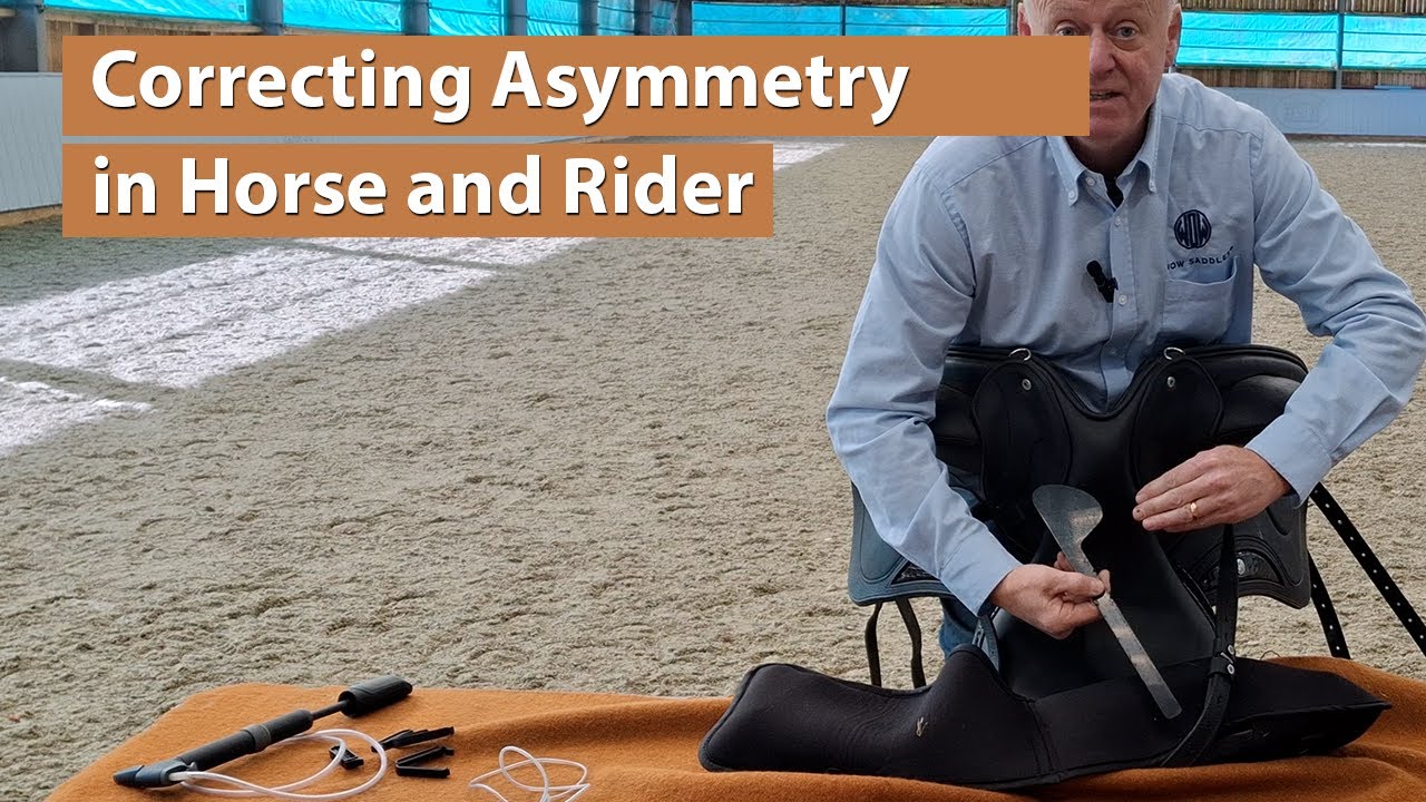 Correcting Asymmetry in Horse and Rider (Part 3 of Asymmetry Series)