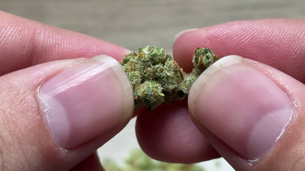 Vanilla Kush- Natures Grace