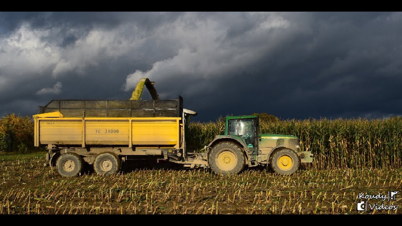 Corn Silage | Siláže 2017 v ZEA Rychnovsko