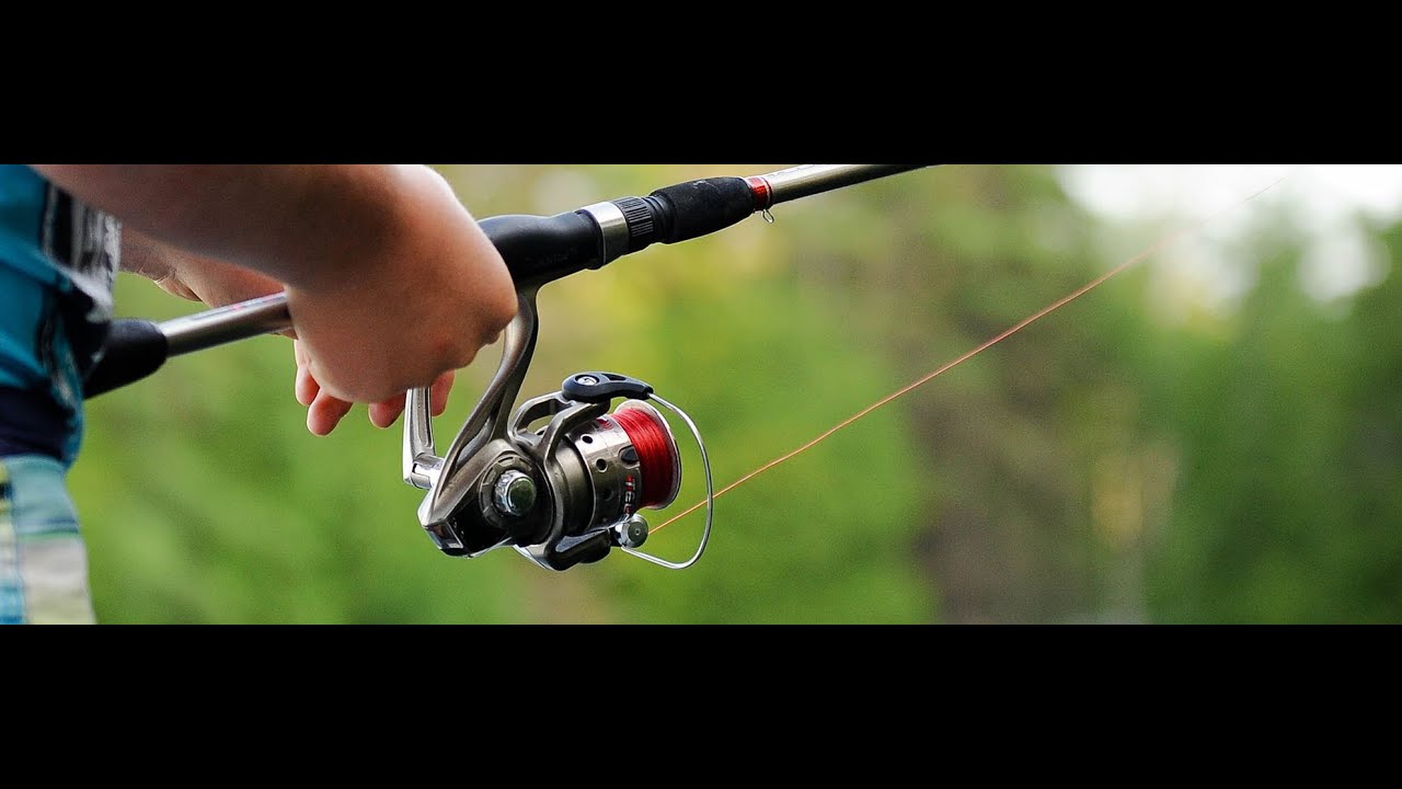 #FishingHolidays