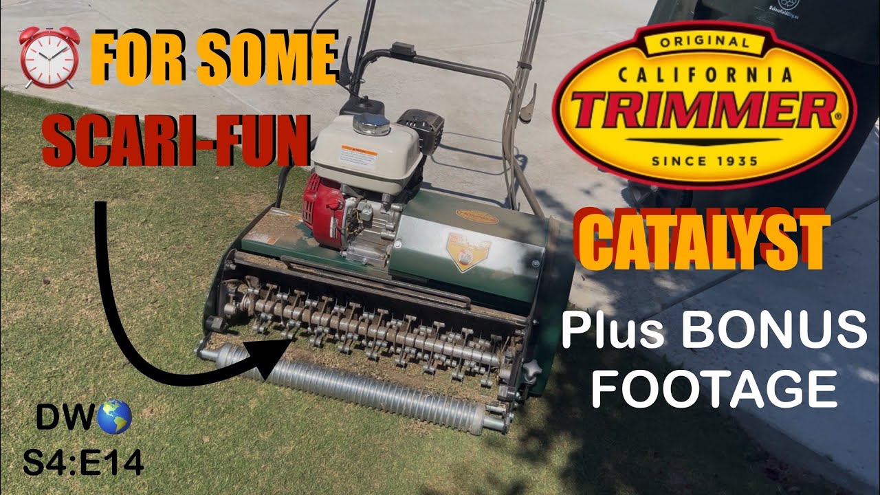 California Trimmer Catalyst Scarify - ⏰ for some Scari-Fun plus bonus footage. DW🌎 S4:E14 #lawncare
