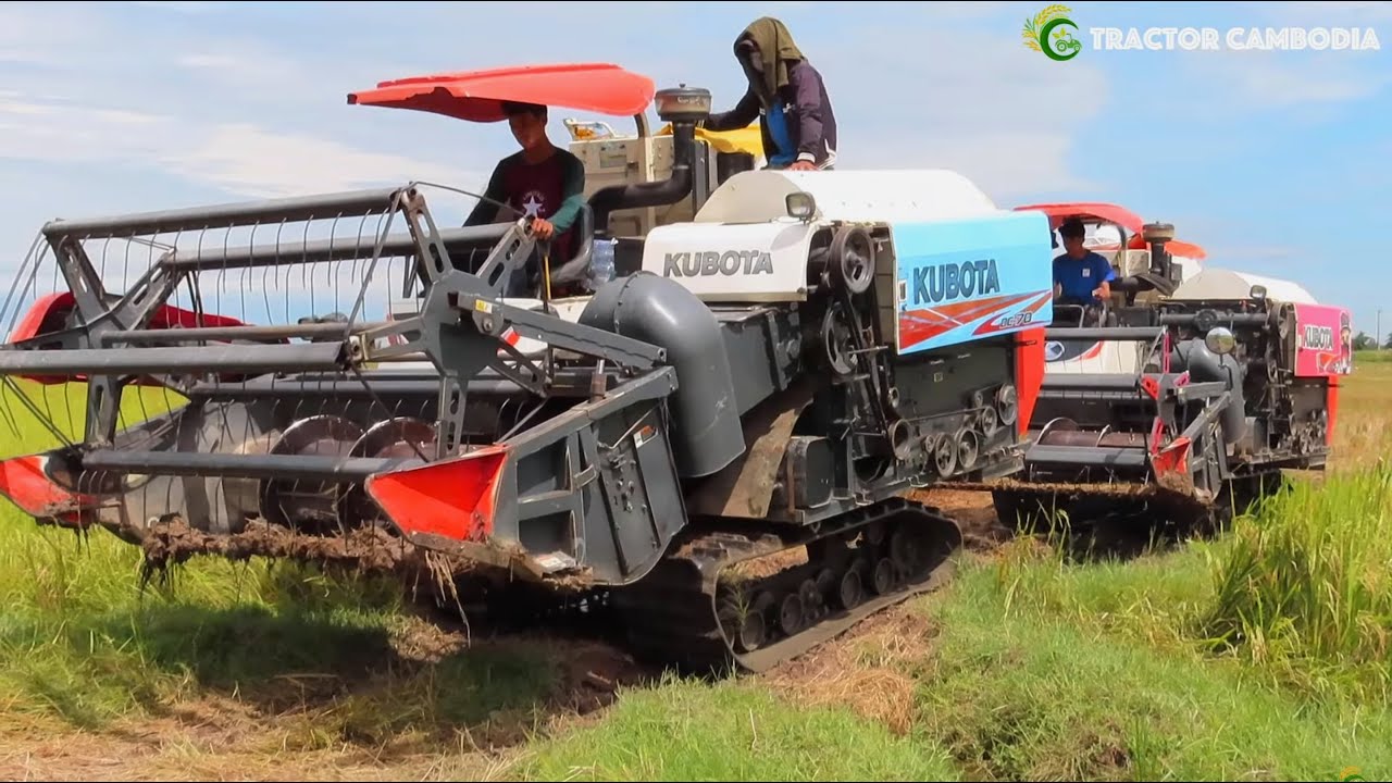 Increase Safety Operator Rice Harvester Working Machine | Best Driving Skill Rice Cutting Machine