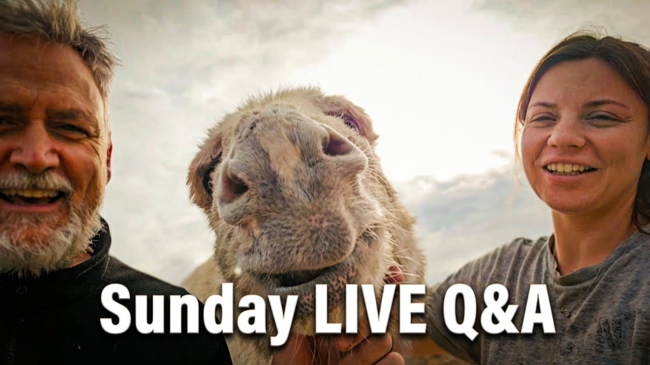 Sunday LIVE Q&A 01/02/2026