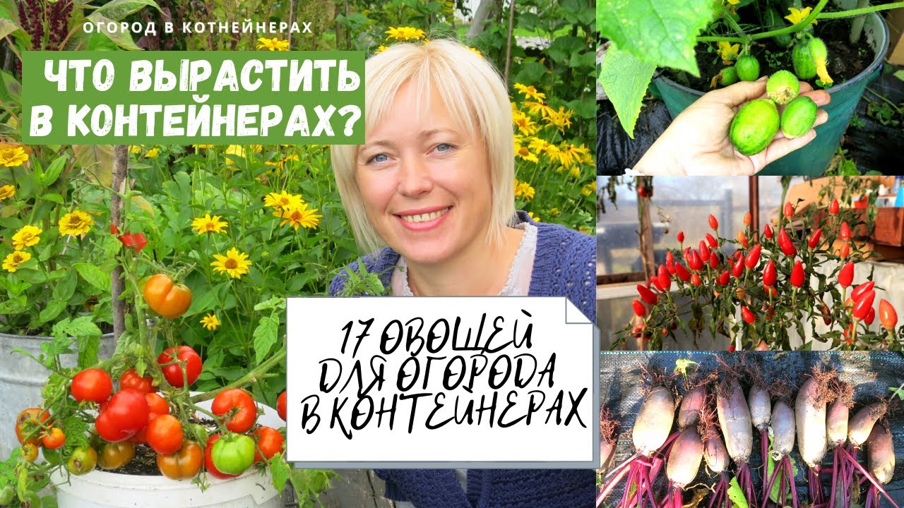 17 овощей для огорода в контейнерах /  Если у вас нет участка под огород