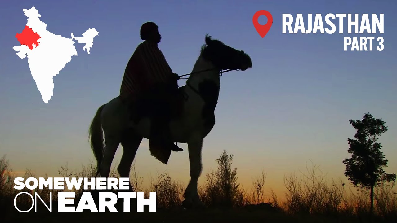 Rajasthan: ​​A Rajput Descendant’s Battle to Save India’s Legendary War Horse | Travel Documentary