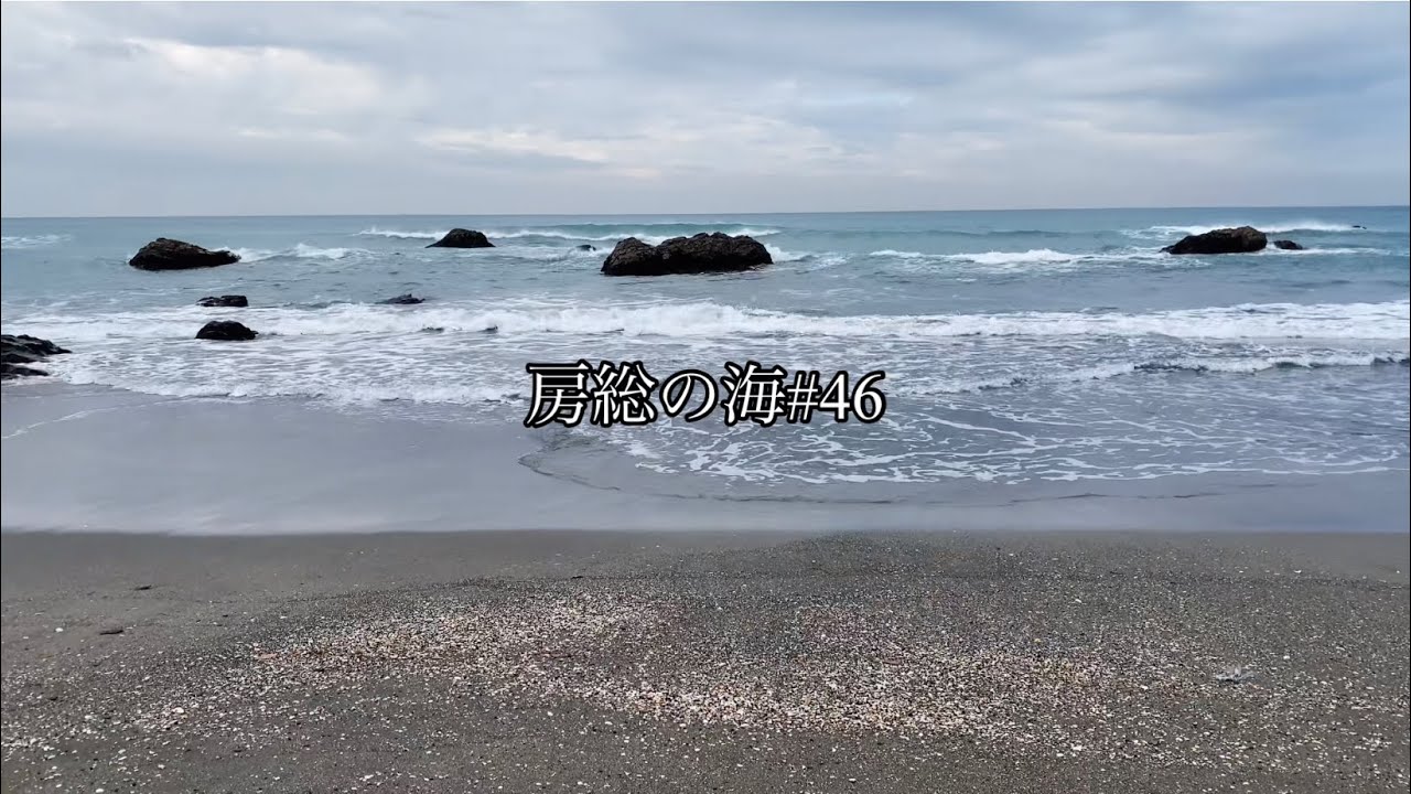 房総の海#46/貝殻拾い/海岸散歩/自然