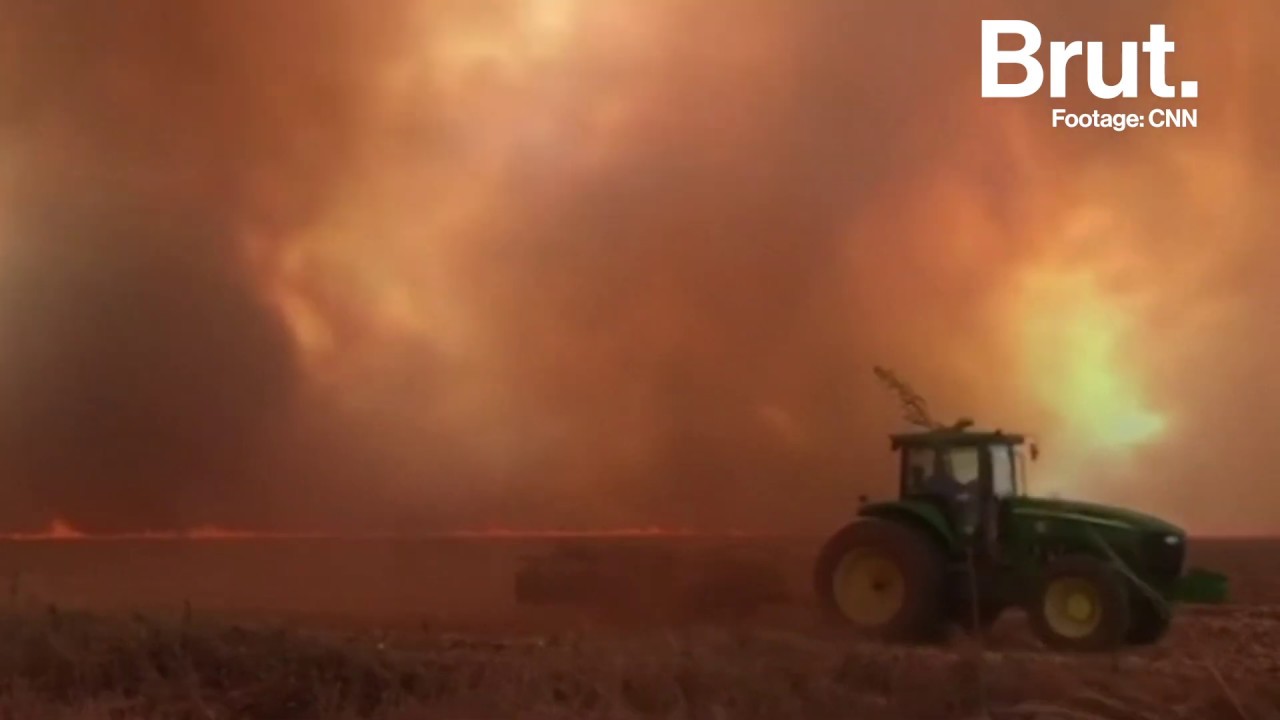 The Amazon is on Fire