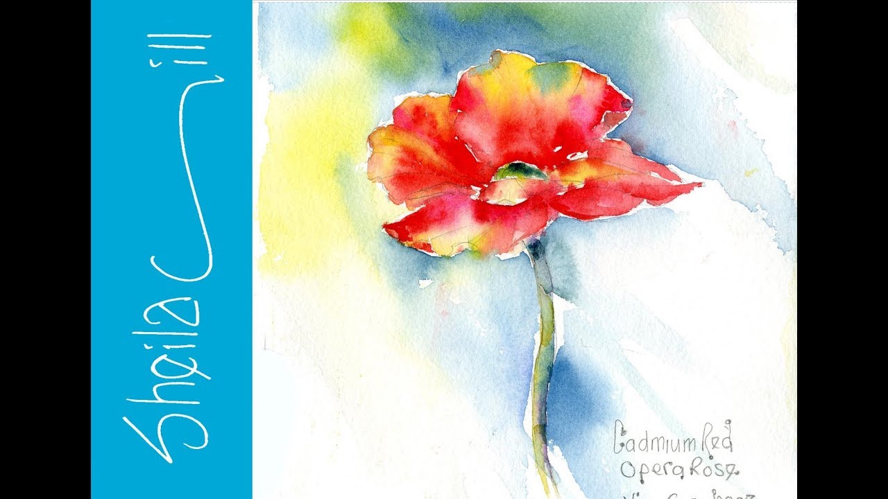 How to paint a Poppy Loose Wet into Wet Watercolour by Sheila Gill