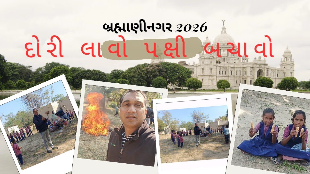 દોરી આપી પક્ષી નો જીવ બચાવો મૂલ્યશિક્ષણ બ્રહ્માણી નગર પ્રાથમિક શાળા 2026