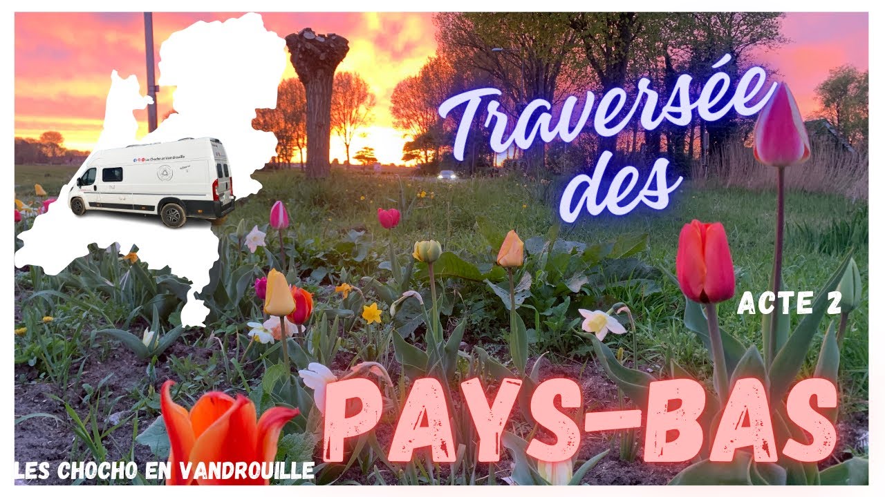 Road trip Europe du Nord #2 : Nuitées chez l'habitant aux Pays-Bas et fête des Tulipes !