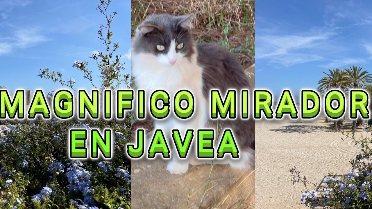 JAVEA , CABO DE LA NAO MIRADOR