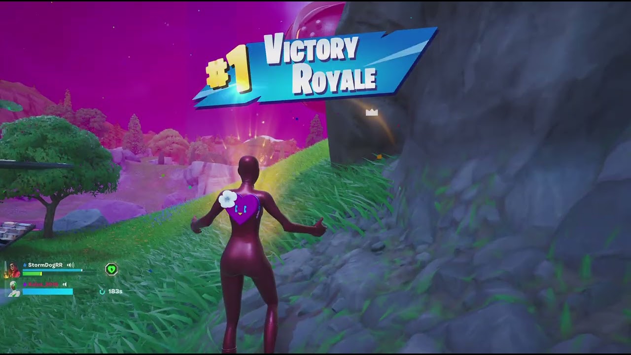 FortniteW