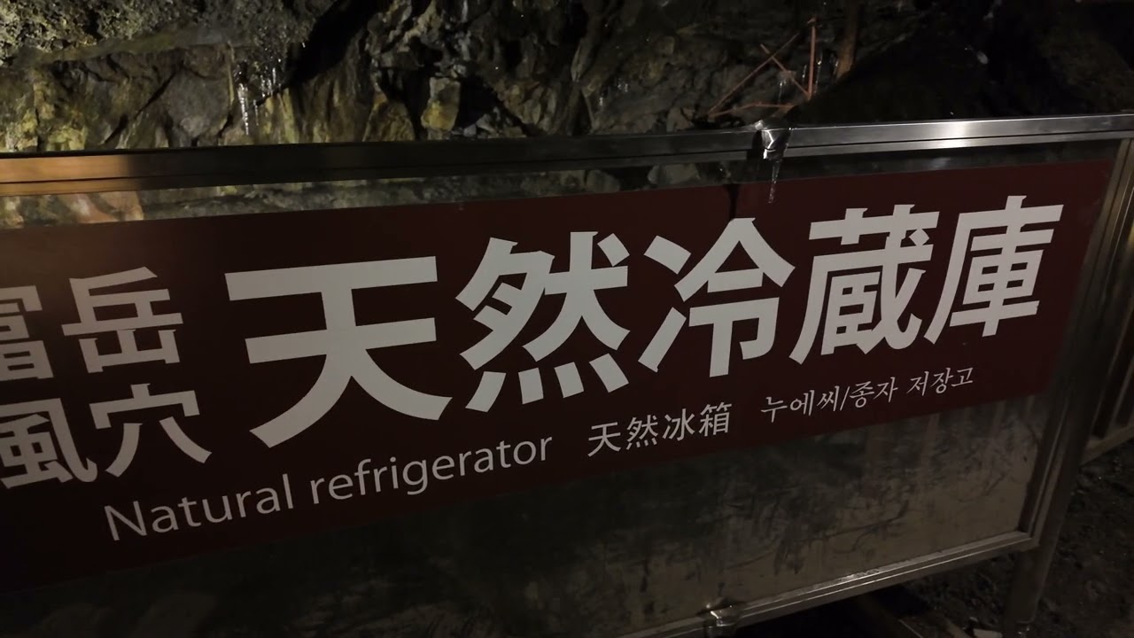 【青木ヶ原樹海・天然記念物】富岳風穴を探検｜天然冷蔵庫・光り苔が輝く幻想的な洞窟