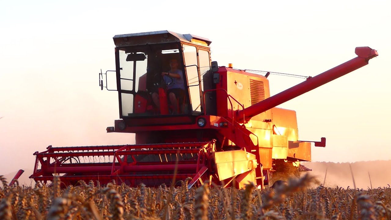 ✩ Żniwa 2024 w GR Kujawscy?! o zachodzie słońca ✩ 2 Fendty & Bizon & Deutz-Fahr & Metaltech ✩