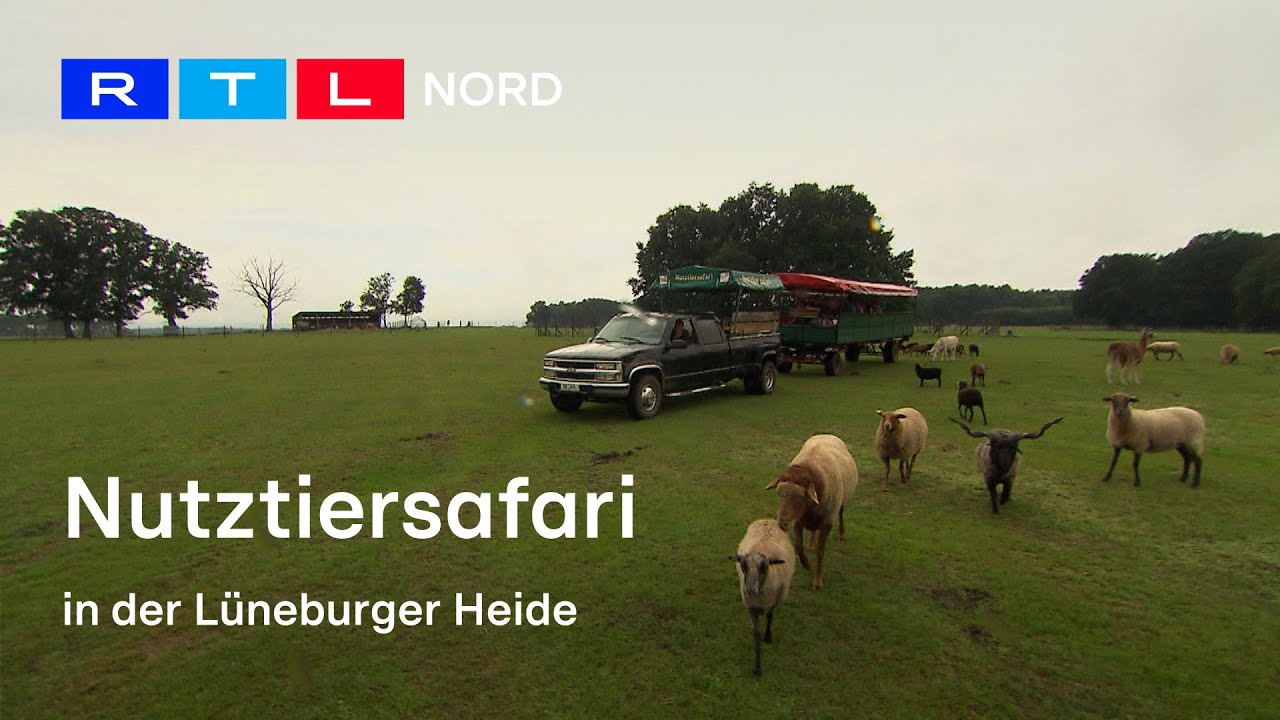 Lüneburger Heide meets Safari
