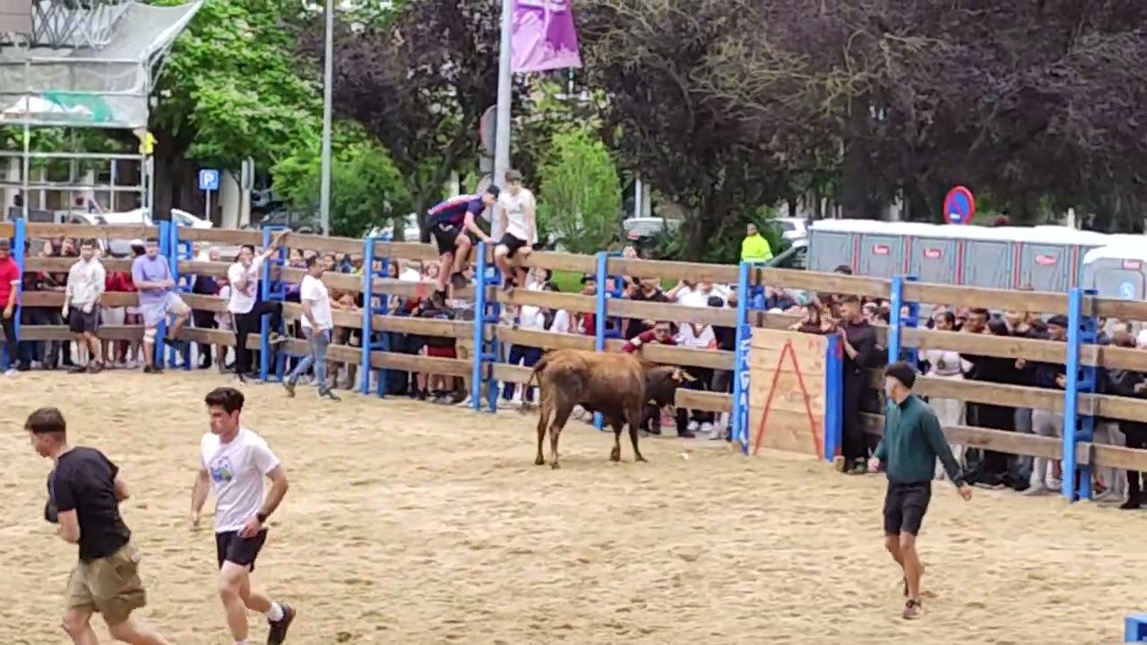 Real BullRun2 | Man almost got HURT !!! | 