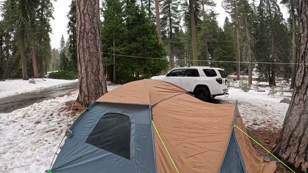 Driving And Walking Tour Of Sequoia National Park